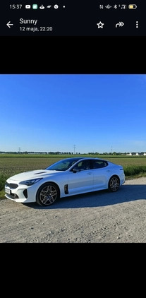 Kia Stinger cena 256000 przebieg: 15500, rok produkcji 2022 z Miłomłyn małe 172